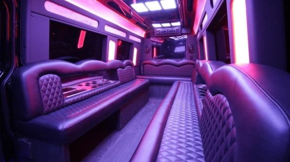 bowling green sprinter limo rental interior